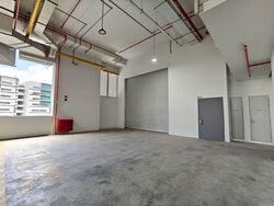 Ct Foodnex (D25), Factory #561533671